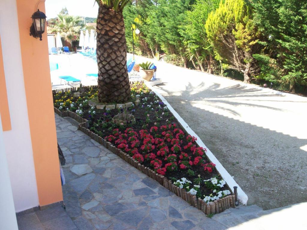 Artemis Studios & Apartments Sidari Sidárion Exterior foto